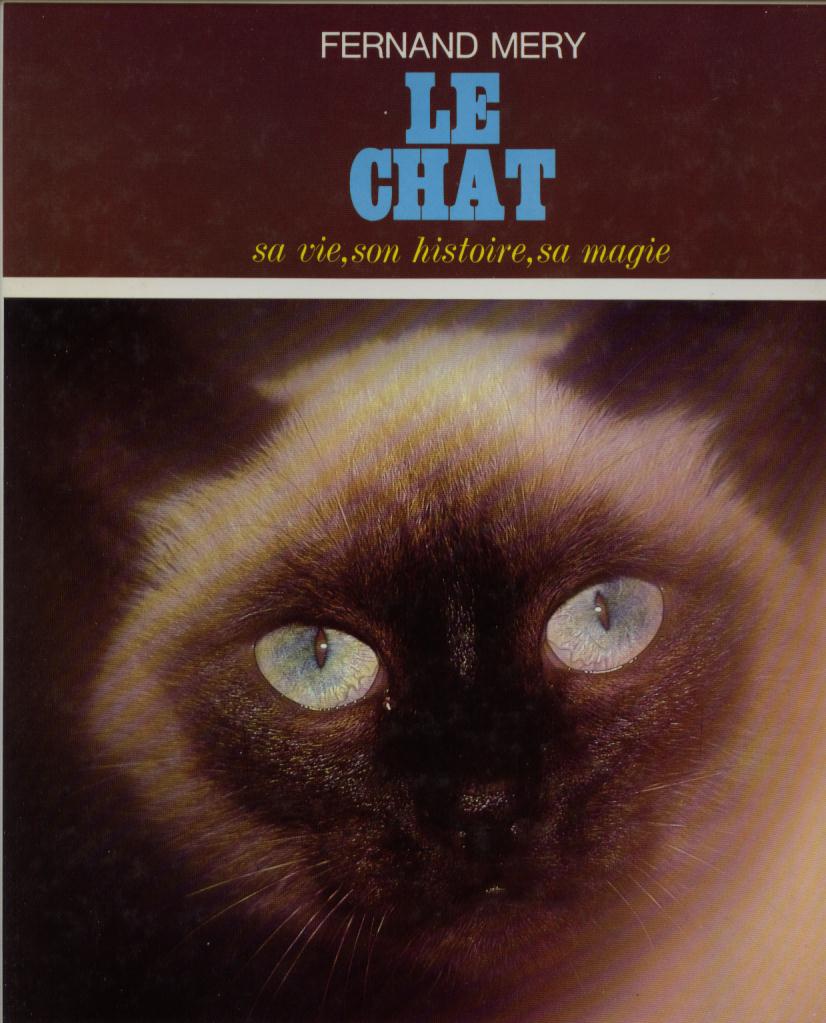 mery le chat